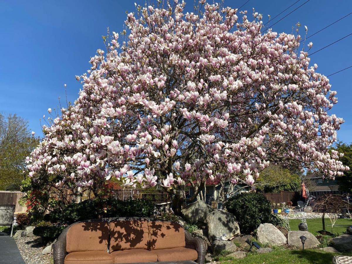 Xanadu 世外桃源 Tsawwassen Exterior foto